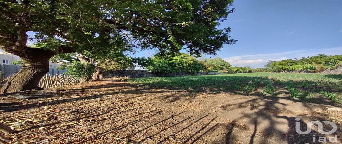 Foto de terreno habitacional en marques , ixtlahuacan, yautepec, morelos, 30134311 foto 01 Foto de terreno habitacional en venta en marques , ixtlahuacan, yautepec, morelos, 30134311 No. 01