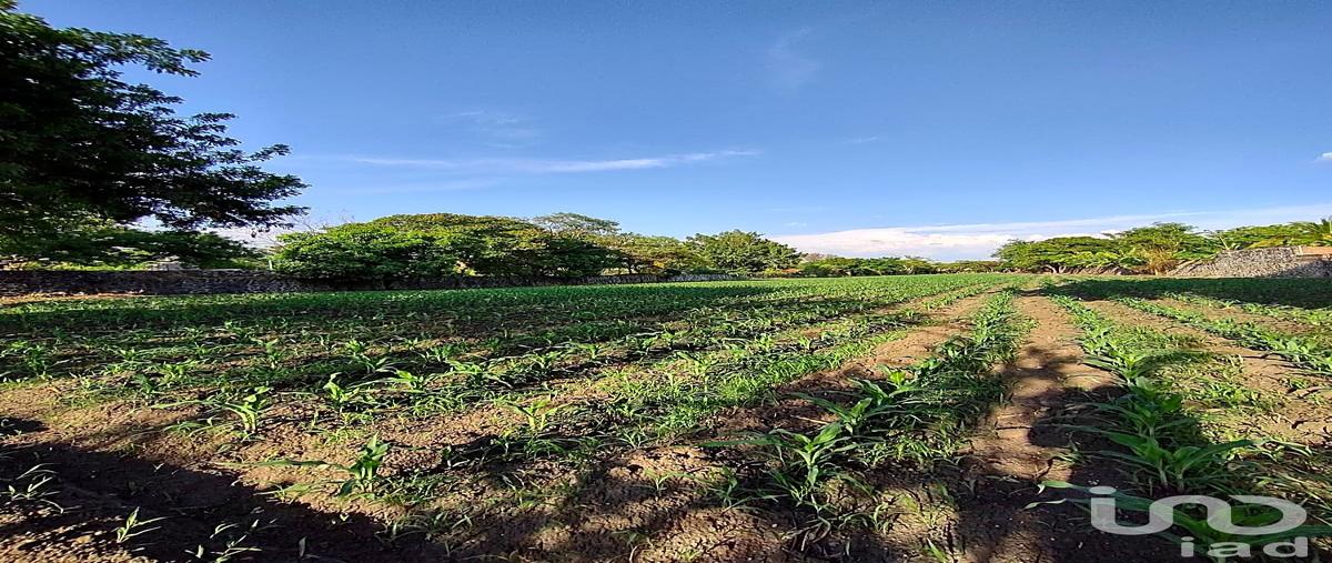 Foto de terreno habitacional en marques , ixtlahuacan, yautepec, morelos, 30134311 foto 02 Foto de terreno habitacional en venta en marques , ixtlahuacan, yautepec, morelos, 30134311 No. 02