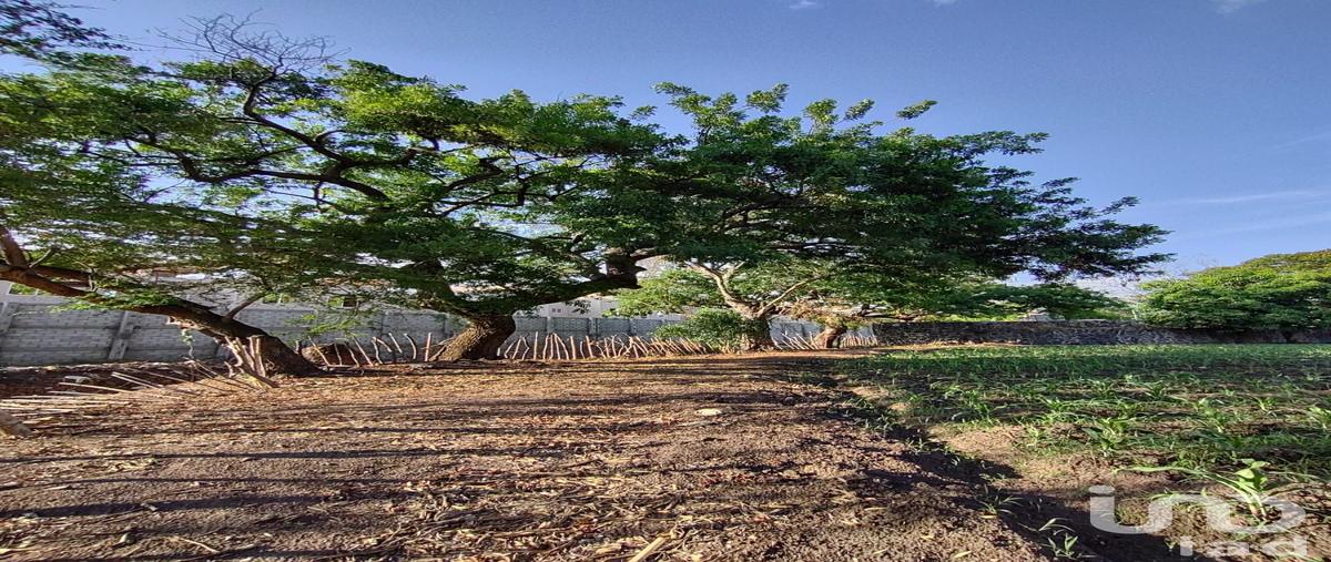 Foto de terreno habitacional en marques , ixtlahuacan, yautepec, morelos, 30134311 foto 05 Foto de terreno habitacional en venta en marques , ixtlahuacan, yautepec, morelos, 30134311 No. 05