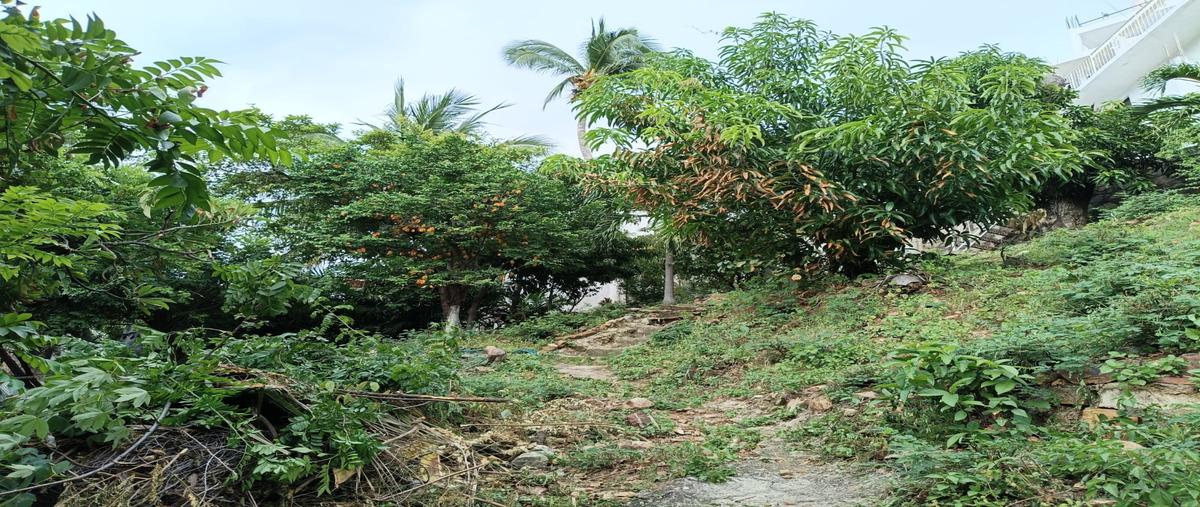 Foto de casa en venta en marroquin , marroquín, acapulco de juárez, guerrero, 0 No. 04