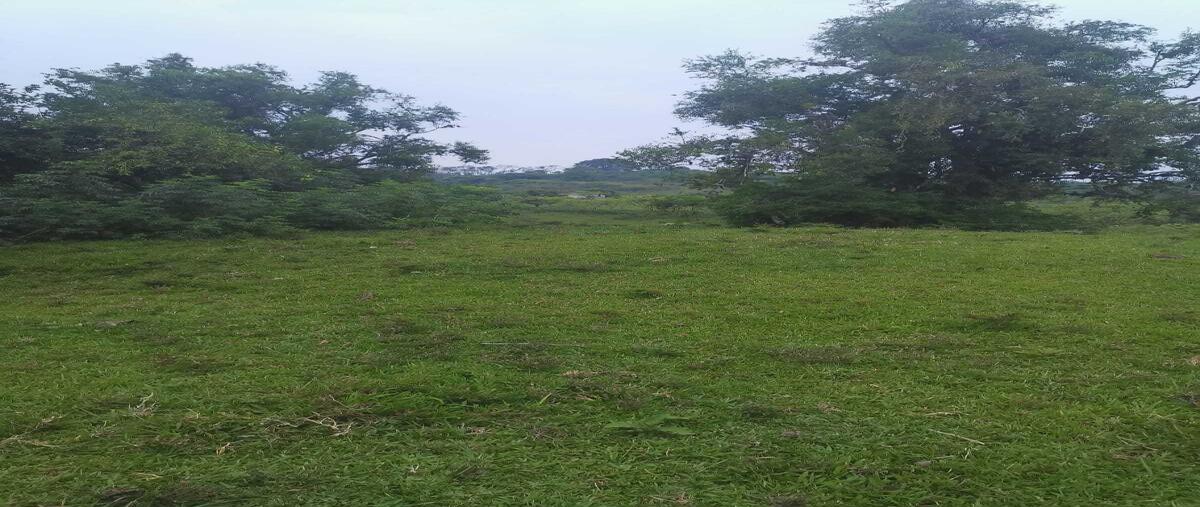 Foto de rancho en venta en martínez de la torre ver. , martínez de la torre centro, martínez de la torre, veracruz de ignacio de la llave, 28759274 No. 04