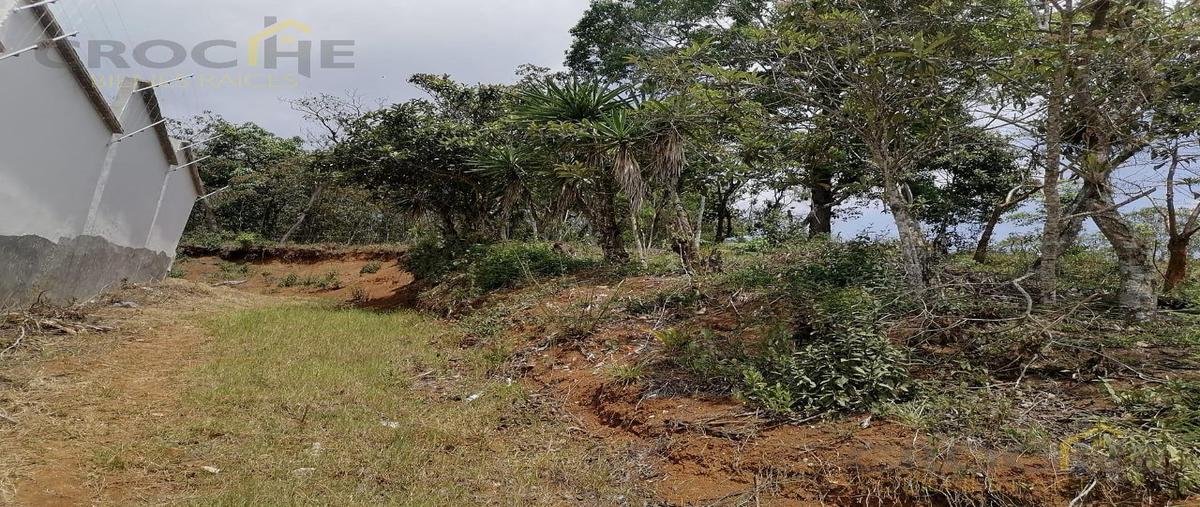 Foto de terreno habitacional en venta en  , mártires de chicago, xalapa, veracruz de ignacio de la llave, 0 No. 03