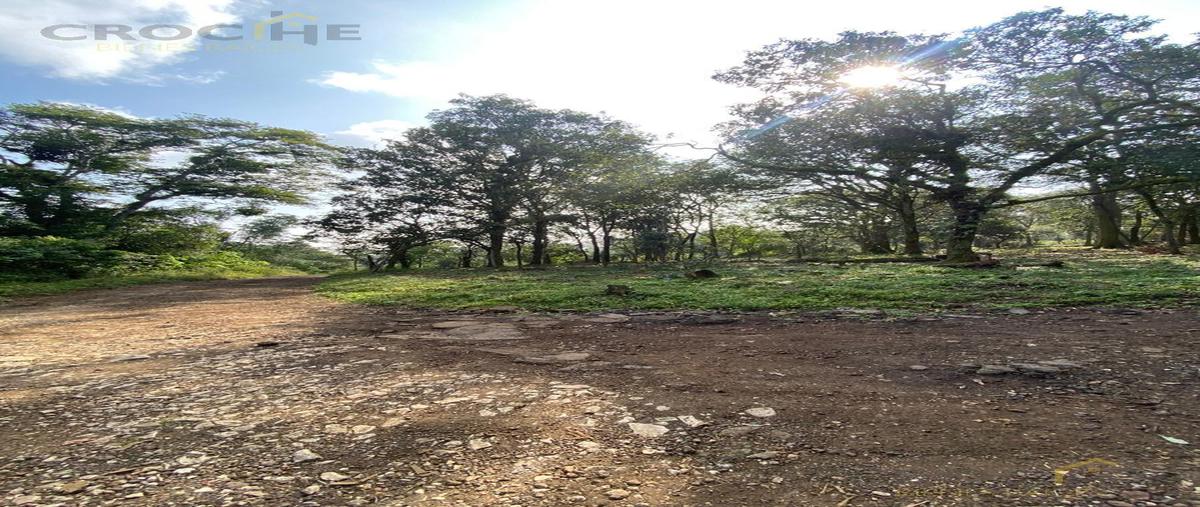 Foto de terreno habitacional en venta en  , mártires de chicago, xalapa, veracruz de ignacio de la llave, 0 No. 03
