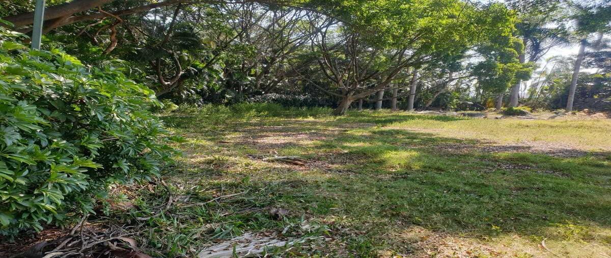 Foto de terreno habitacional en venta en martires de la revolucion , lomas de jiutepec, jiutepec, morelos, 29218663 No. 05