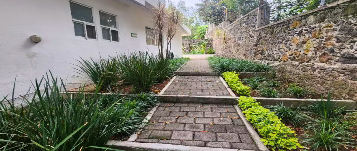 Foto de casa en renta en  , mártires de río blanco, cuernavaca, morelos, 28401130 No. 05