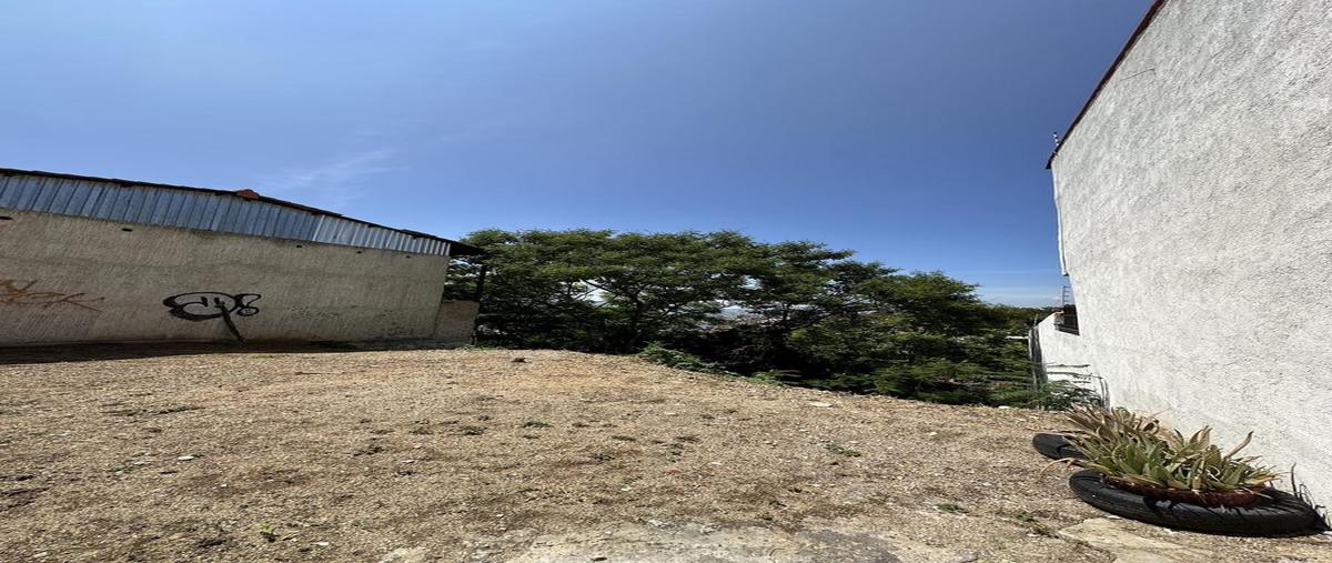 Foto de terreno habitacional en venta en  , mártires del río blanco, oaxaca de juárez, oaxaca, 30193505 No. 04