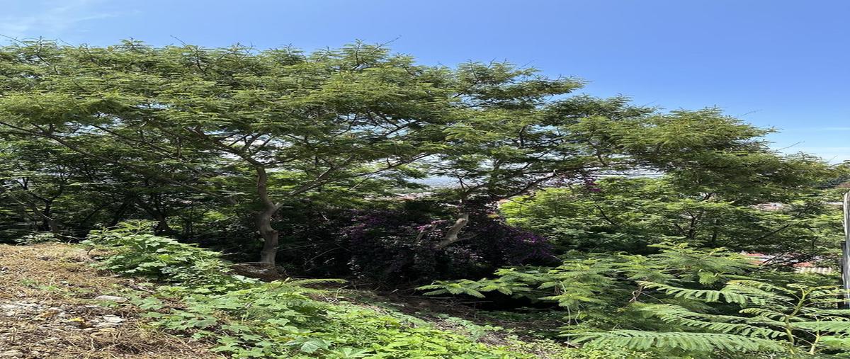Foto de terreno habitacional en venta en  , mártires del río blanco, oaxaca de juárez, oaxaca, 30193505 No. 05