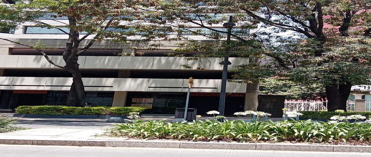 Foto de local en renta en masaryk , polanco v sección, miguel hidalgo, df / cdmx, 0 No. 12