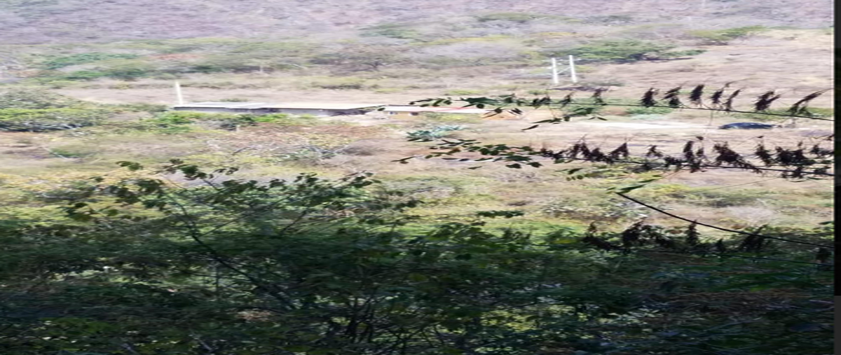 Foto de terreno habitacional en venta en  , mascota, mascota, jalisco, 30693089 No. 03