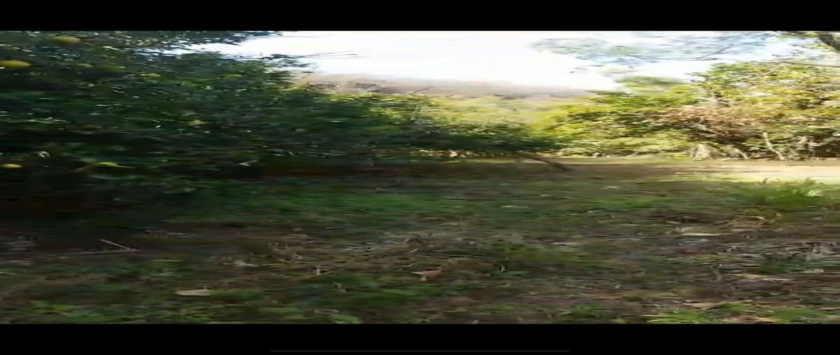 Foto de terreno habitacional en venta en  , mascota, mascota, jalisco, 30693089 No. 05