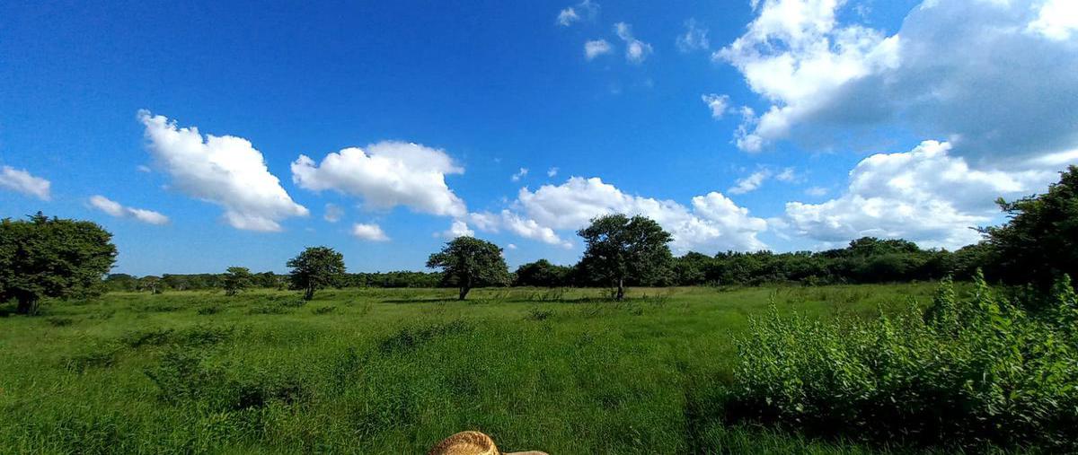 Foto de terreno habitacional en venta en  , mata de pedernales, pueblo viejo, veracruz de ignacio de la llave, 0 No. 03