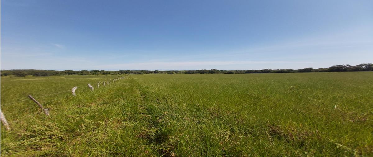 Foto de terreno habitacional en venta en  , mata de pedernales, pueblo viejo, veracruz de ignacio de la llave, 0 No. 04