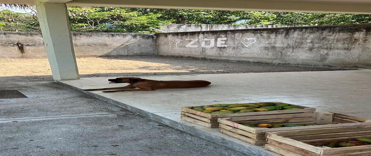 Foto de terreno habitacional en venta en  , mata de pita, veracruz, veracruz de ignacio de la llave, 0 No. 04