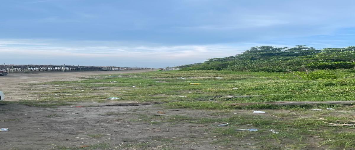 Foto de terreno habitacional en venta en mata de uva , anton lizardo, alvarado, veracruz de ignacio de la llave, 0 No. 03