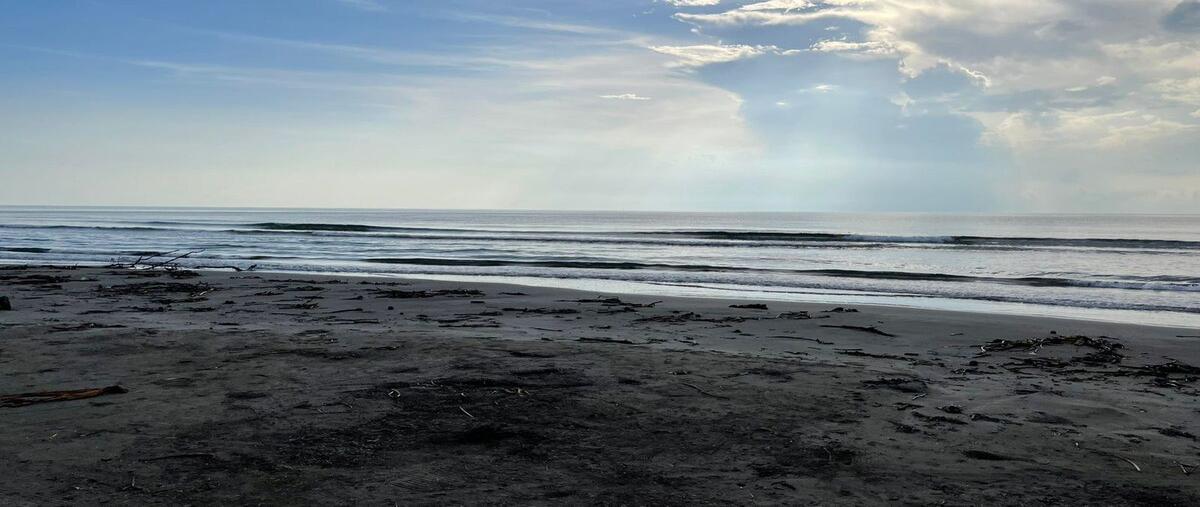 Foto de terreno habitacional en venta en mata de uva , anton lizardo, alvarado, veracruz de ignacio de la llave, 0 No. 05