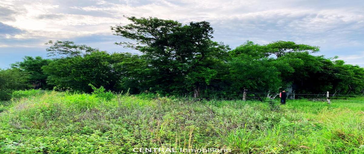Foto de terreno habitacional en venta en  , mata loma, manlio fabio altamirano, veracruz de ignacio de la llave, 0 No. 03