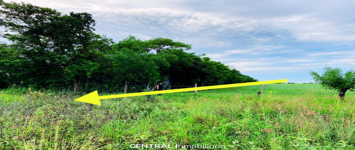 Foto de terreno habitacional en venta en  , mata loma, manlio fabio altamirano, veracruz de ignacio de la llave, 0 No. 04