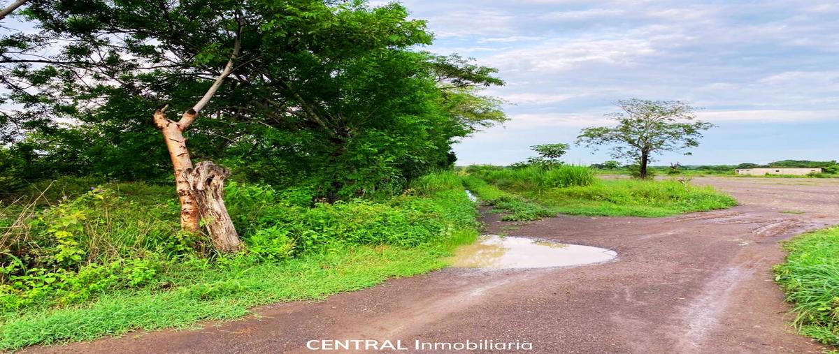 Foto de terreno habitacional en venta en  , mata loma, manlio fabio altamirano, veracruz de ignacio de la llave, 0 No. 05