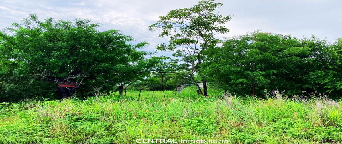 Foto de terreno habitacional en venta en  , mata loma, manlio fabio altamirano, veracruz de ignacio de la llave, 30471797 No. 03