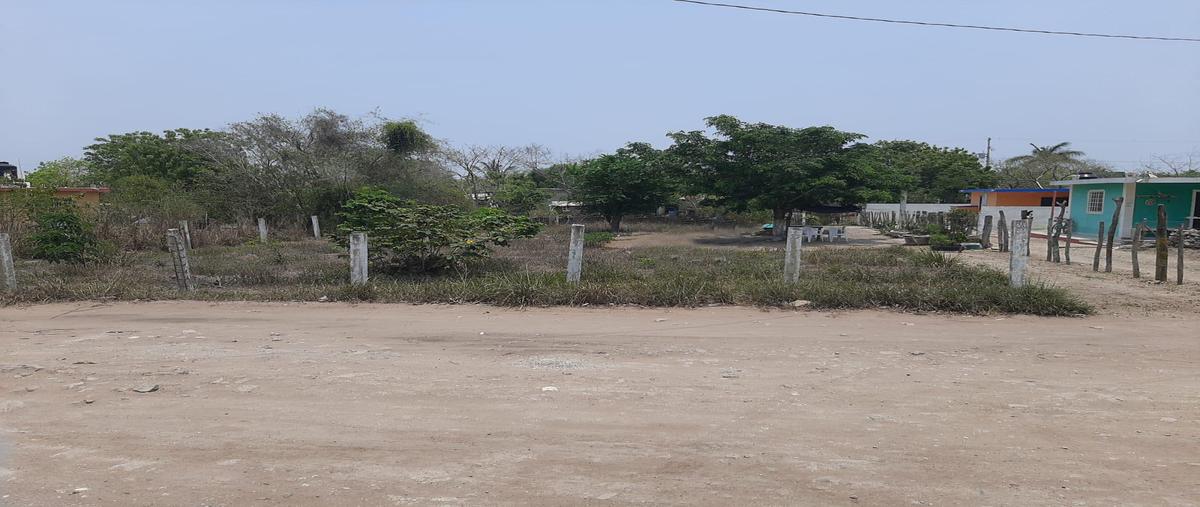 Foto de terreno habitacional en , mata redonda, pueblo viejo, veracruz de ignacio de la llave, 0 foto 03 Foto de terreno habitacional en venta en , mata redonda, pueblo viejo, veracruz de ignacio de la llave, 0 No. 03