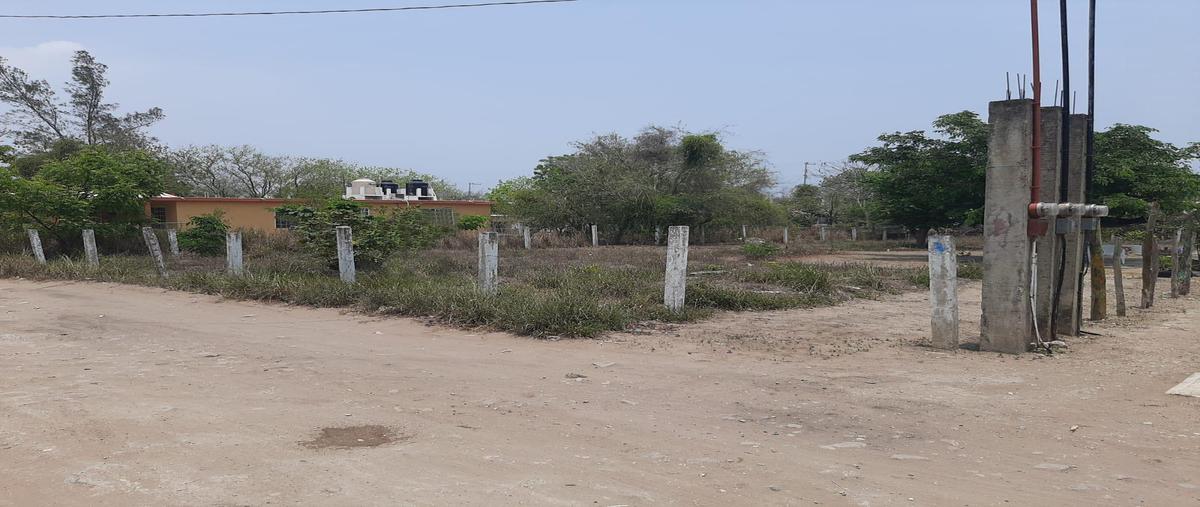 Foto de terreno habitacional en , mata redonda, pueblo viejo, veracruz de ignacio de la llave, 0 foto 04 Foto de terreno habitacional en venta en , mata redonda, pueblo viejo, veracruz de ignacio de la llave, 0 No. 04
