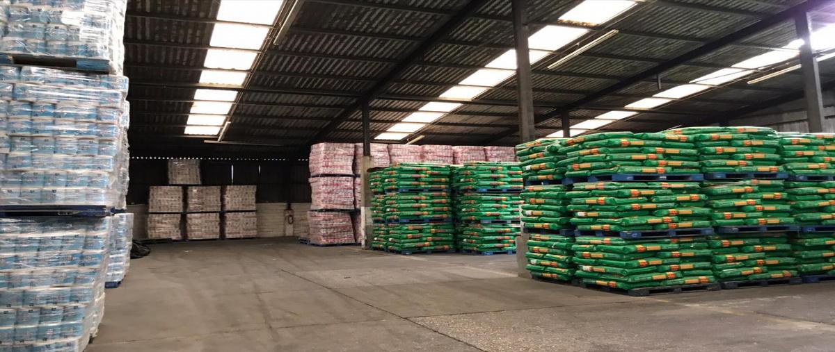 Foto de bodega en renta en matamoros , justo sierra, altamira, tamaulipas, 0 No. 04