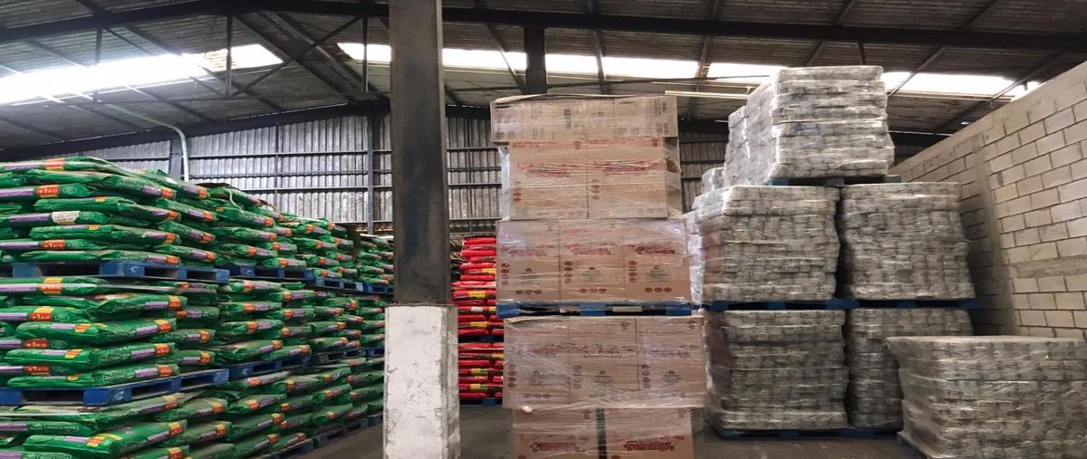 Foto de bodega en renta en matamoros , justo sierra, altamira, tamaulipas, 0 No. 05