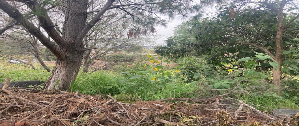 Foto de terreno industrial en venta en matamoros , la palma tenango, tenango del aire, méxico, 30825828 No. 04