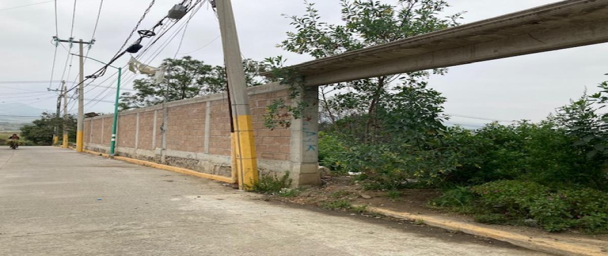 Foto de terreno industrial en venta en matamoros , la palma tenango, tenango del aire, méxico, 30825828 No. 05