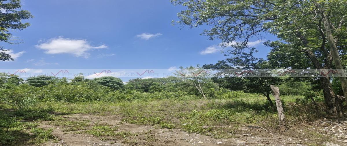 Foto de terreno industrial en venta en  , matamoros, montemorelos, nuevo león, 28762657 No. 03