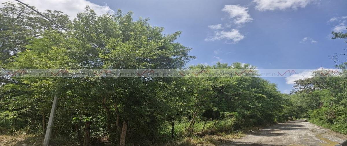 Foto de terreno industrial en venta en  , matamoros, montemorelos, nuevo león, 28762657 No. 04