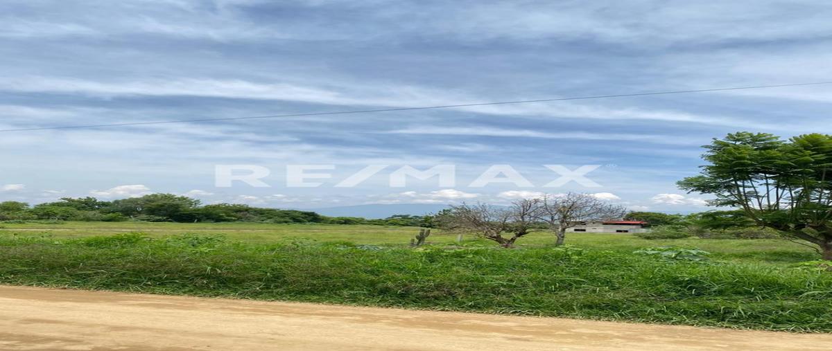 Foto de terreno habitacional en venta en matamoros , san bartolo coyotepec, san bartolo coyotepec, oaxaca, 28520474 No. 04