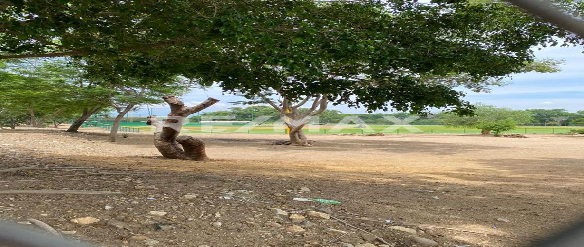 Foto de terreno habitacional en venta en matamoros , san bartolo coyotepec, san bartolo coyotepec, oaxaca, 0 No. 03