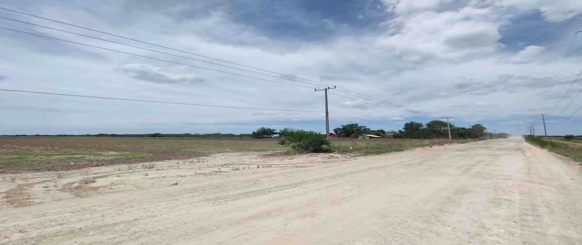 Foto de casa en venta en matamoros , seis de enero, río bravo, tamaulipas, 25577408 No. 04