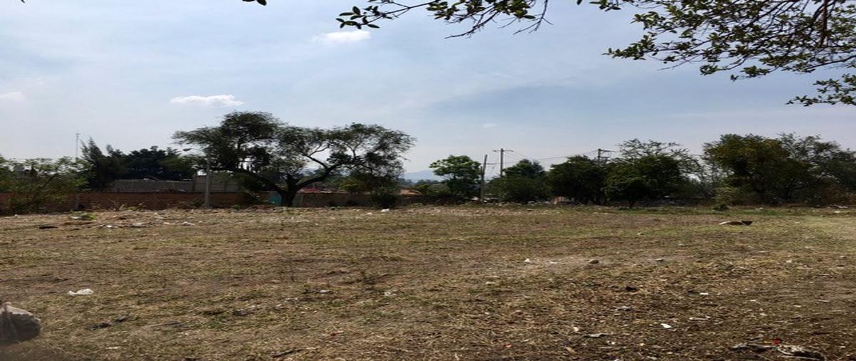 Foto de terreno habitacional en venta en matamoros s.n., jardines de santa ana, zapopan, jalisco, 21043224 No. 01