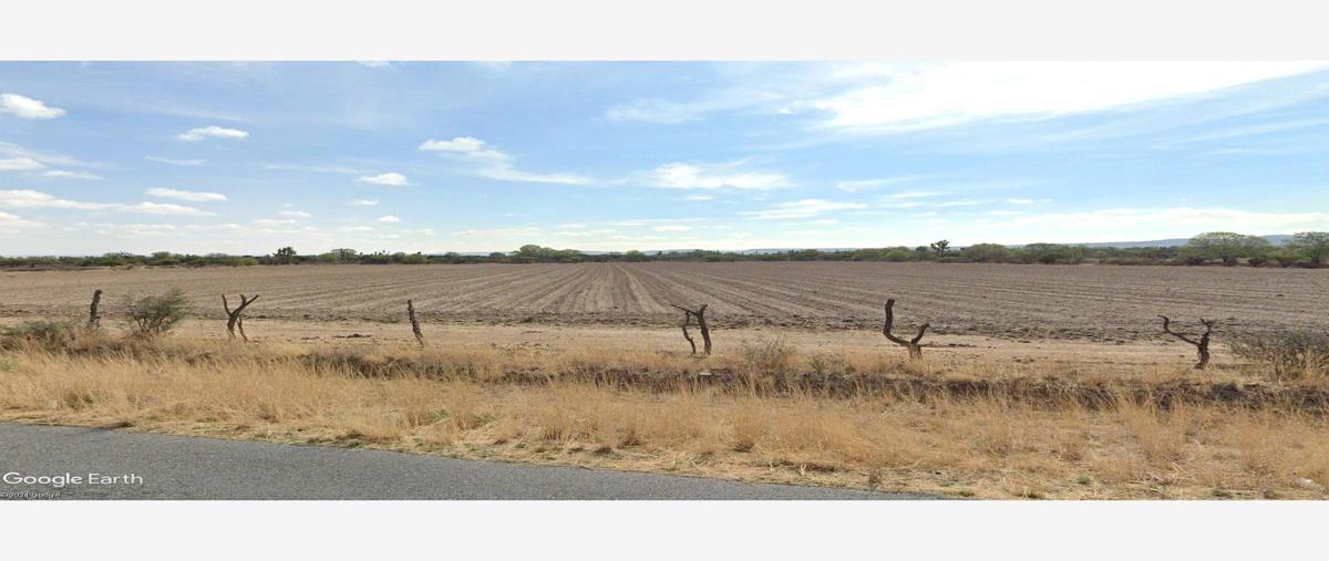 Foto de rancho en venta en  , matancillas (san isidro), ojuelos de jalisco, jalisco, 28309025 No. 03