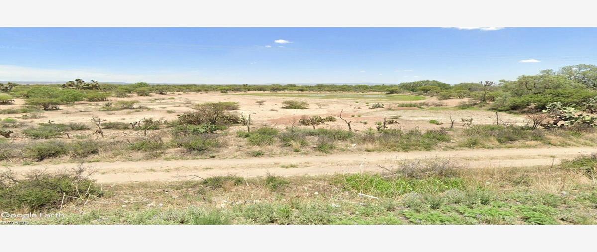 Foto de rancho en venta en  , matancillas (san isidro), ojuelos de jalisco, jalisco, 28309025 No. 04