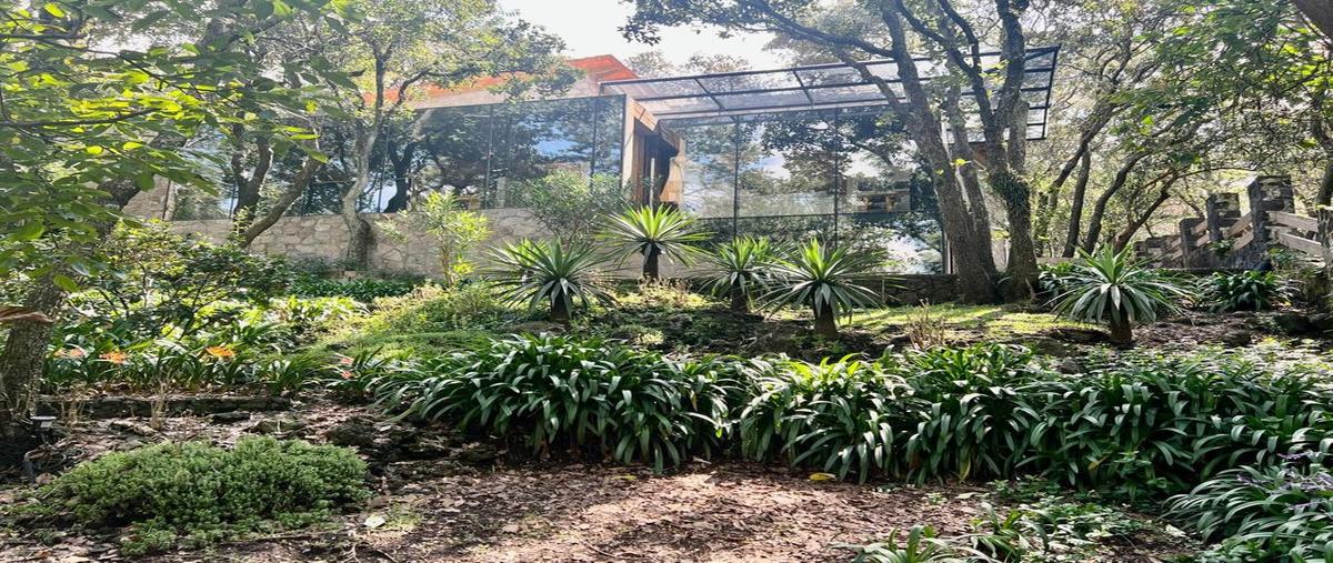 Foto de casa en venta en matapulgas , tlalpuente, tlalpan, df / cdmx, 0 No. 04