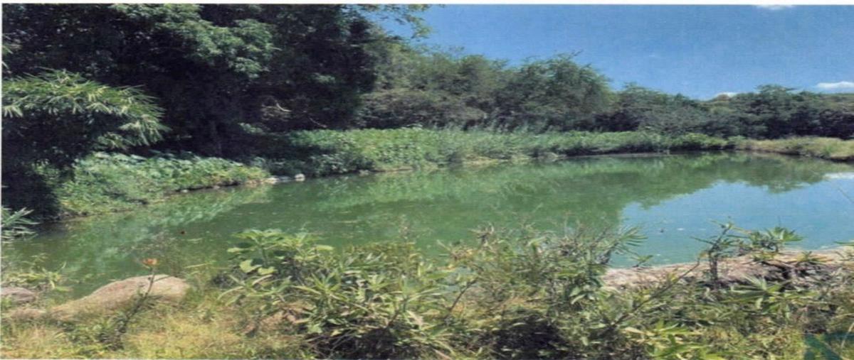 Foto de terreno habitacional en , matatlan, zapotlanejo, jalisco, 27365782 foto 01 Foto de terreno habitacional en venta en , matatlan, zapotlanejo, jalisco, 27365782 No. 01