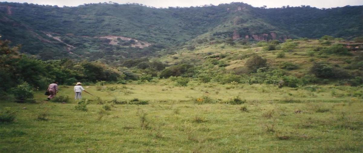 Foto de terreno habitacional en venta en matlalac , san juan, malinalco, méxico, 0 No. 04