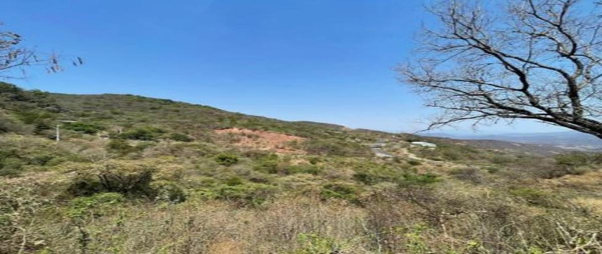 Foto de terreno habitacional en venta en  , matlalapa, tixtla de guerrero, guerrero, 0 No. 03