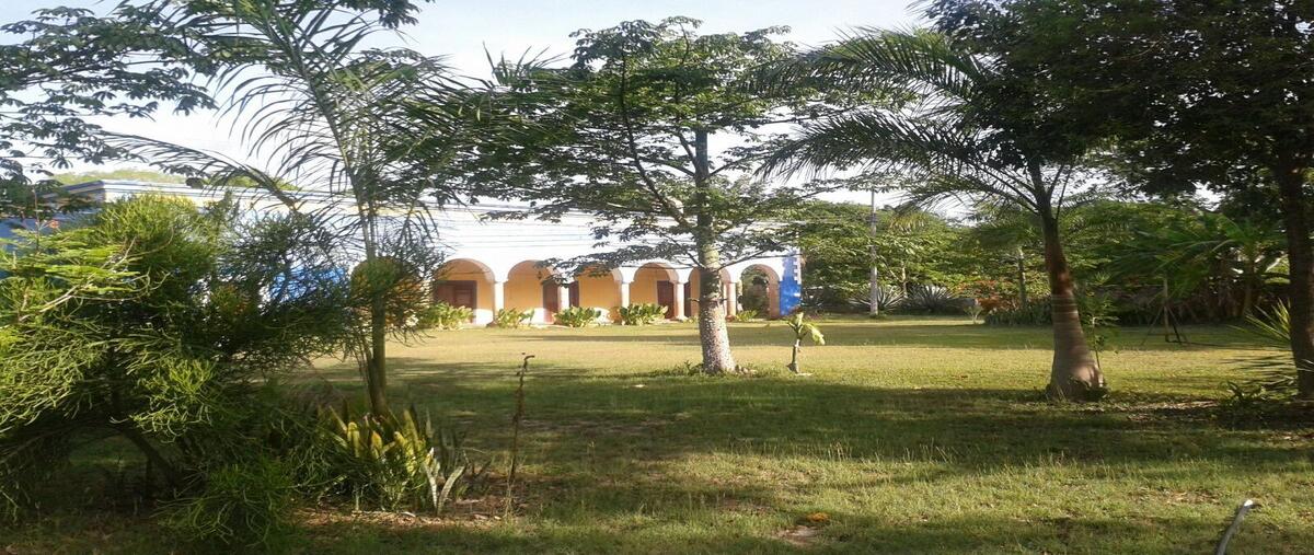 Foto de rancho en venta en  , maxcanu, maxcanú, yucatán, 19364299 No. 04