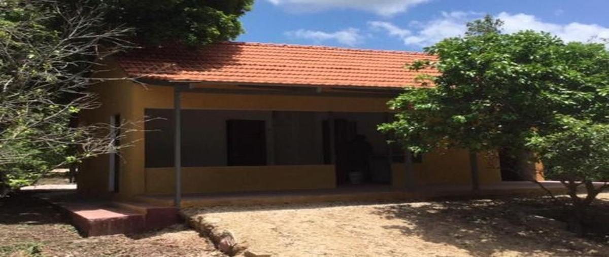Foto de terreno habitacional en venta en  , maxcanu, maxcanú, yucatán, 26489383 No. 05