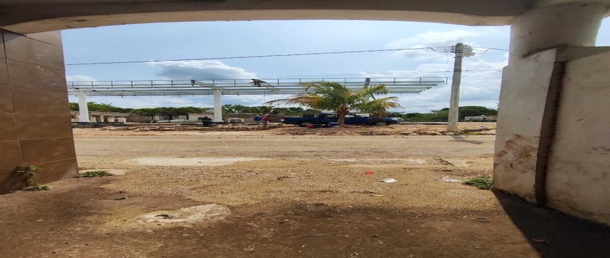Foto de terreno habitacional en , maxcanu, maxcanú, yucatán, 0 foto 04 Foto de terreno habitacional en venta en , maxcanu, maxcanú, yucatán, 0 No. 04