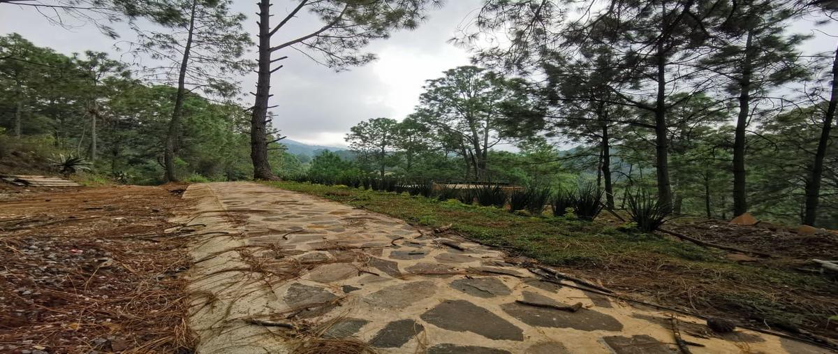 Foto de terreno habitacional en venta en  , mazamitla, mazamitla, jalisco, 18805299 No. 05