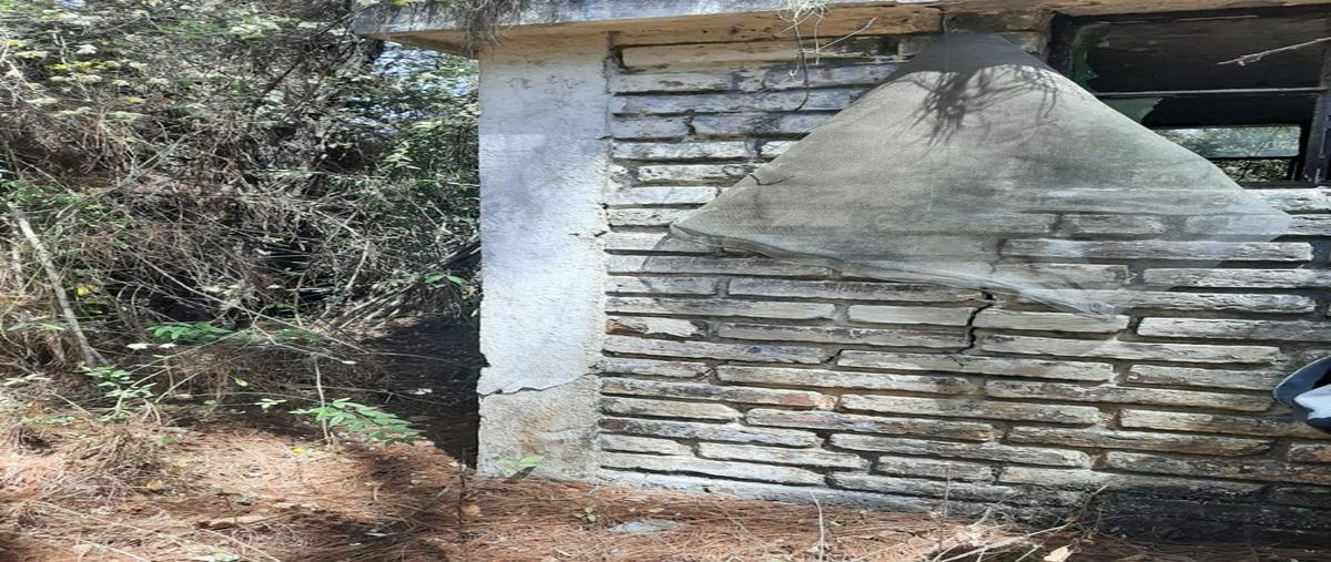 Foto de terreno habitacional en venta en  , mazamitla, mazamitla, jalisco, 19689756 No. 05