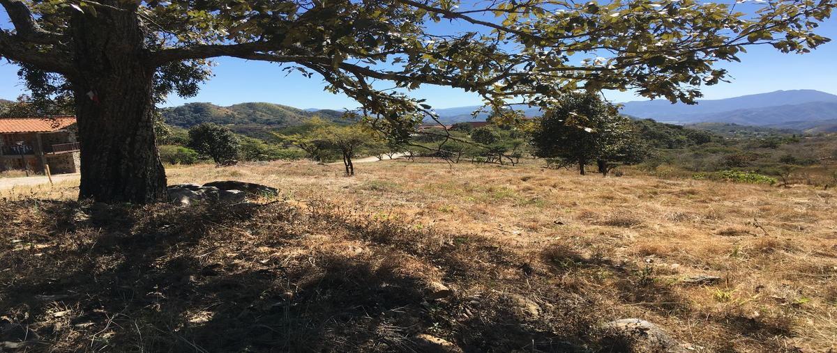 Foto de terreno habitacional en , mazamitla, mazamitla, jalisco, 20317394 foto 05 Foto de terreno habitacional en venta en , mazamitla, mazamitla, jalisco, 20317394 No. 05