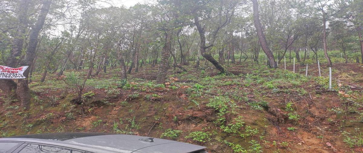 Foto de terreno habitacional en venta en  , mazamitla, mazamitla, jalisco, 25898207 No. 03