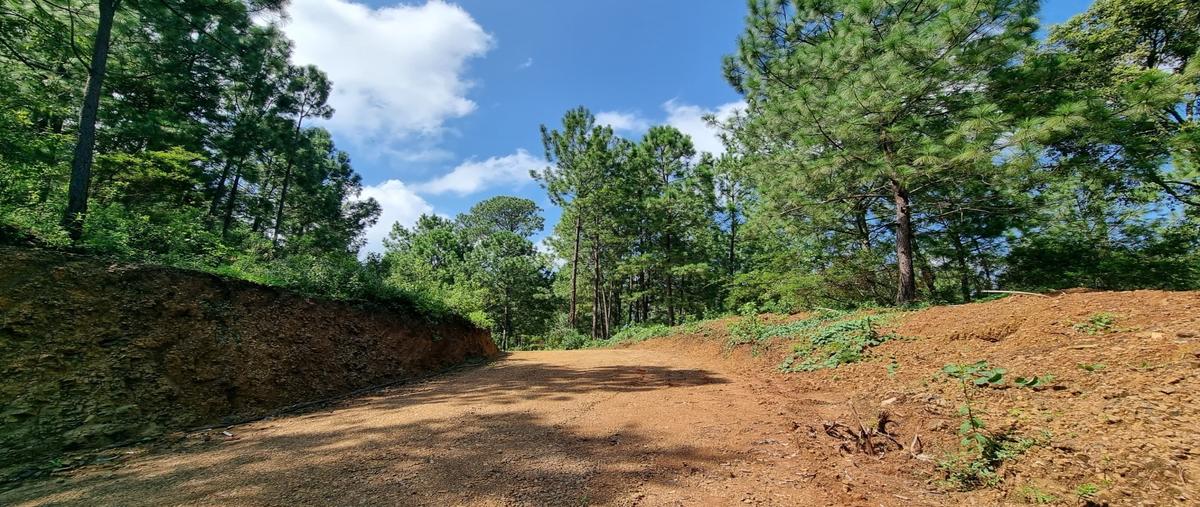 Foto de terreno habitacional en venta en  , mazamitla, mazamitla, jalisco, 26611473 No. 04
