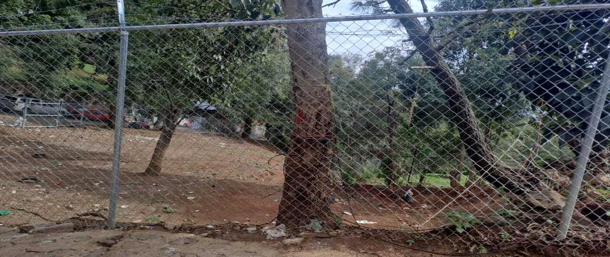 Foto de terreno habitacional en venta en  , mazamitla, mazamitla, jalisco, 26805867 No. 04